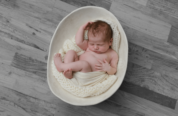 ottawa belly casts bowls forever bellies antique white pure natural newborn photography stephanie de montigny baby photo props 5093